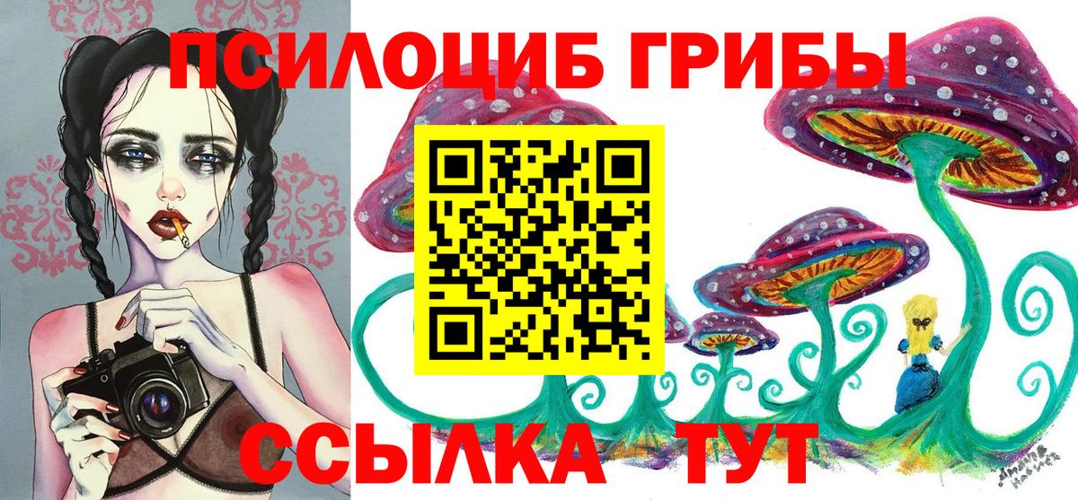 Кировск  Псилоцибиновые грибы Psilocybe  Галлюциногенные грибы MAGIC MUSHROOMS  Вход с VPN 